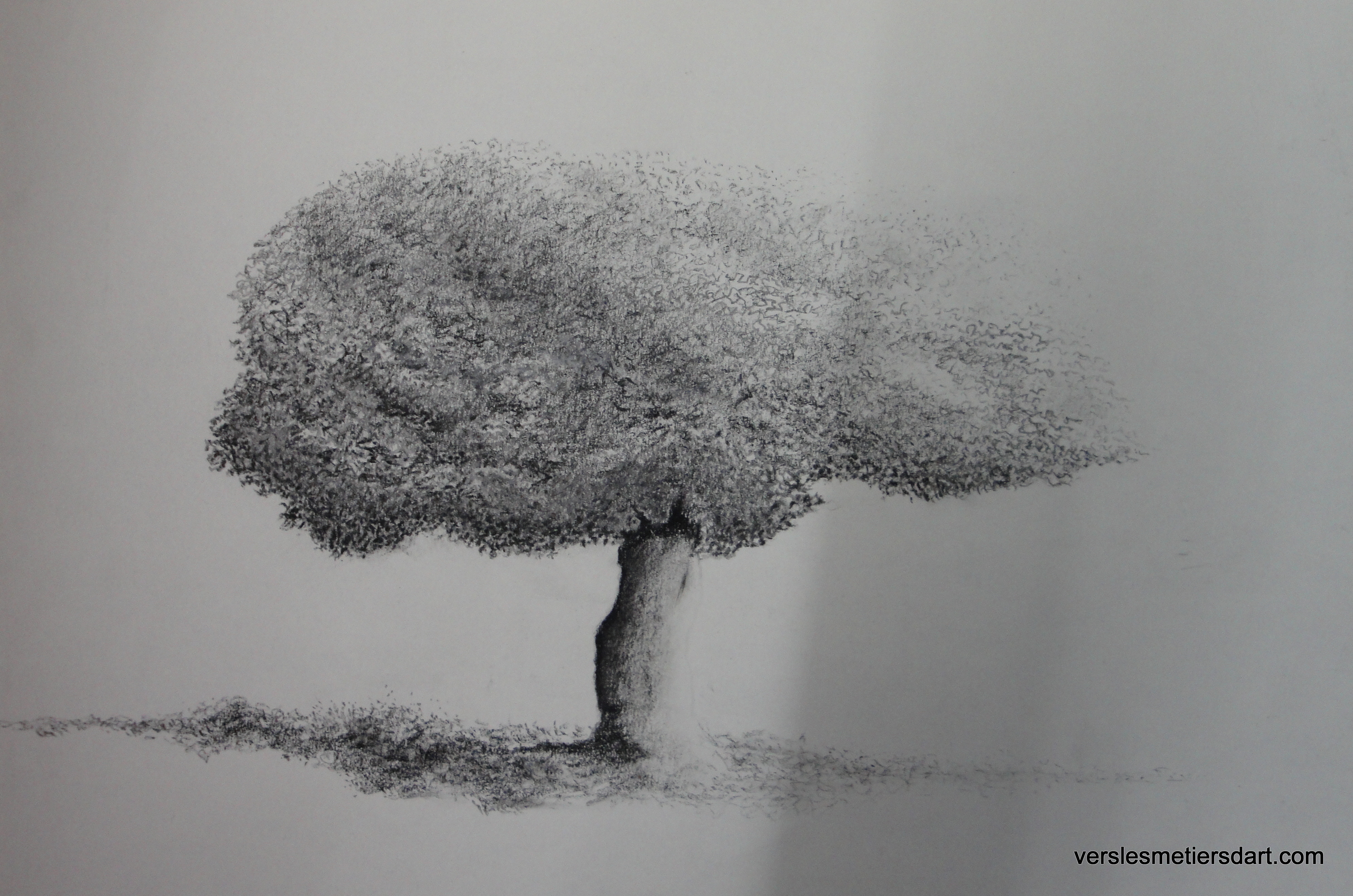 Arbre au crayon graphite